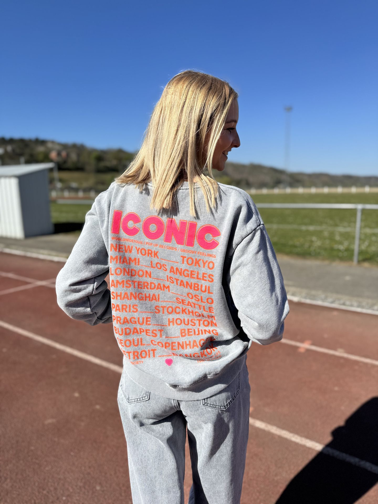 Sweat Iconic - Gris2.webp