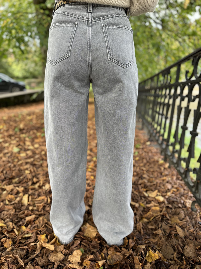 Jeans Cindy - Gris Clair4.webp