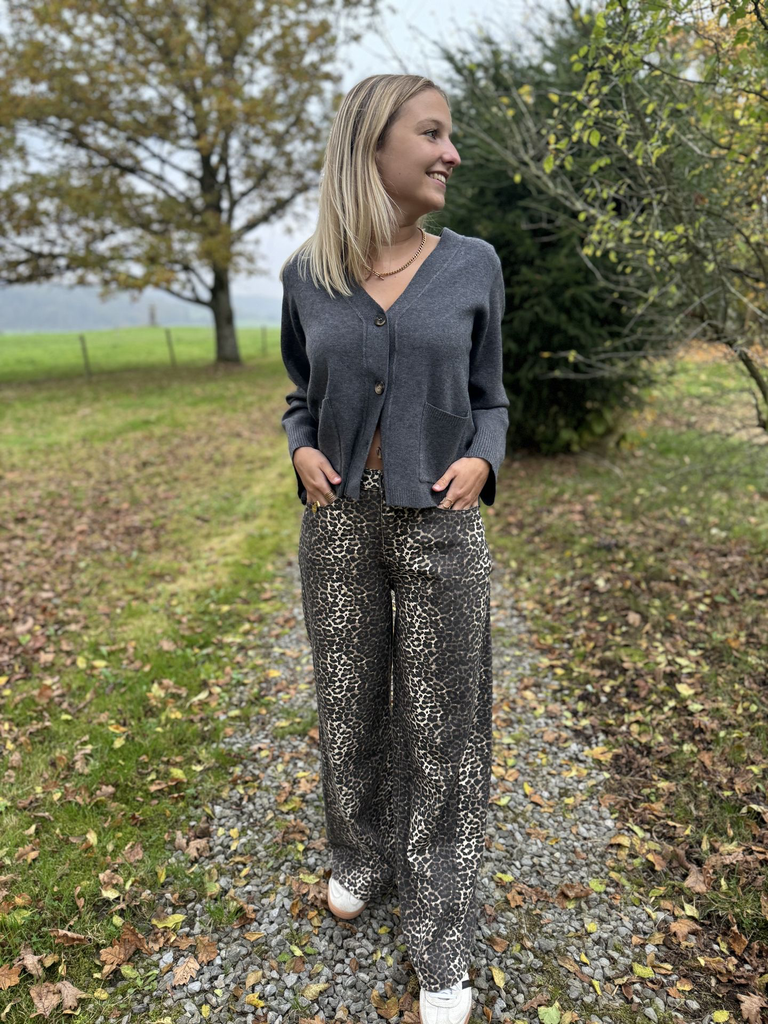 Gilet Maurine -Gris5.webp