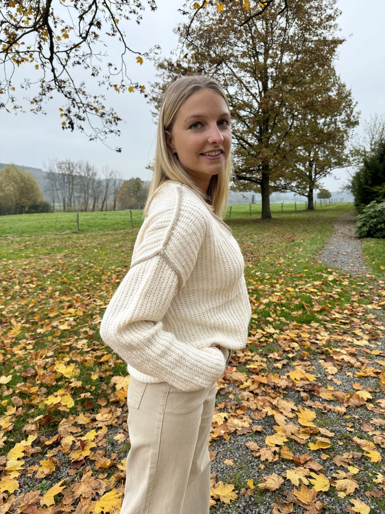 Pull Joséphine - Beige5.webp
