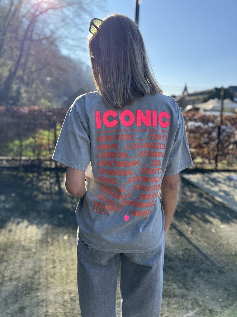 T-SHIRT ICONIC GRIS