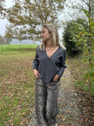 GILET MAURINE - GRIS